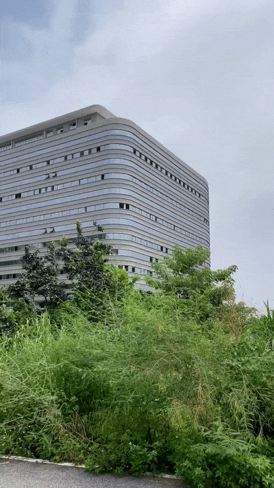 凯旋门线上官网